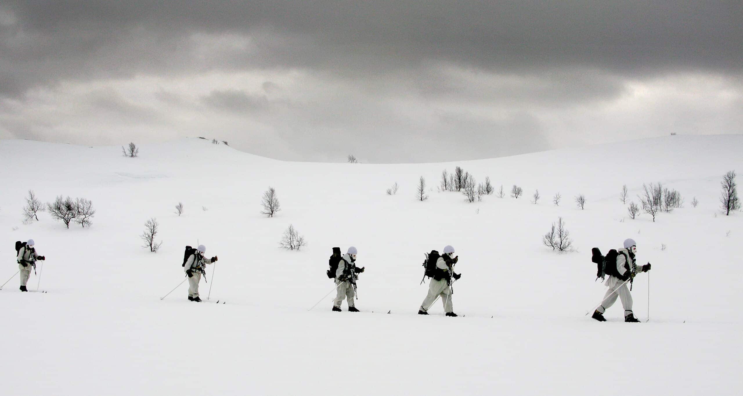 Royal Navy Marine Commando Reservists Winter Training Skiing 12x6 Inch Photo 