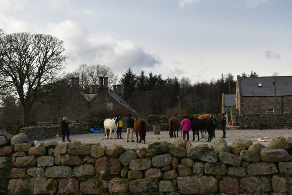 Veterans working with horses
