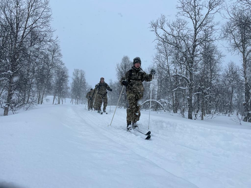 Group of Reservists skiing.
